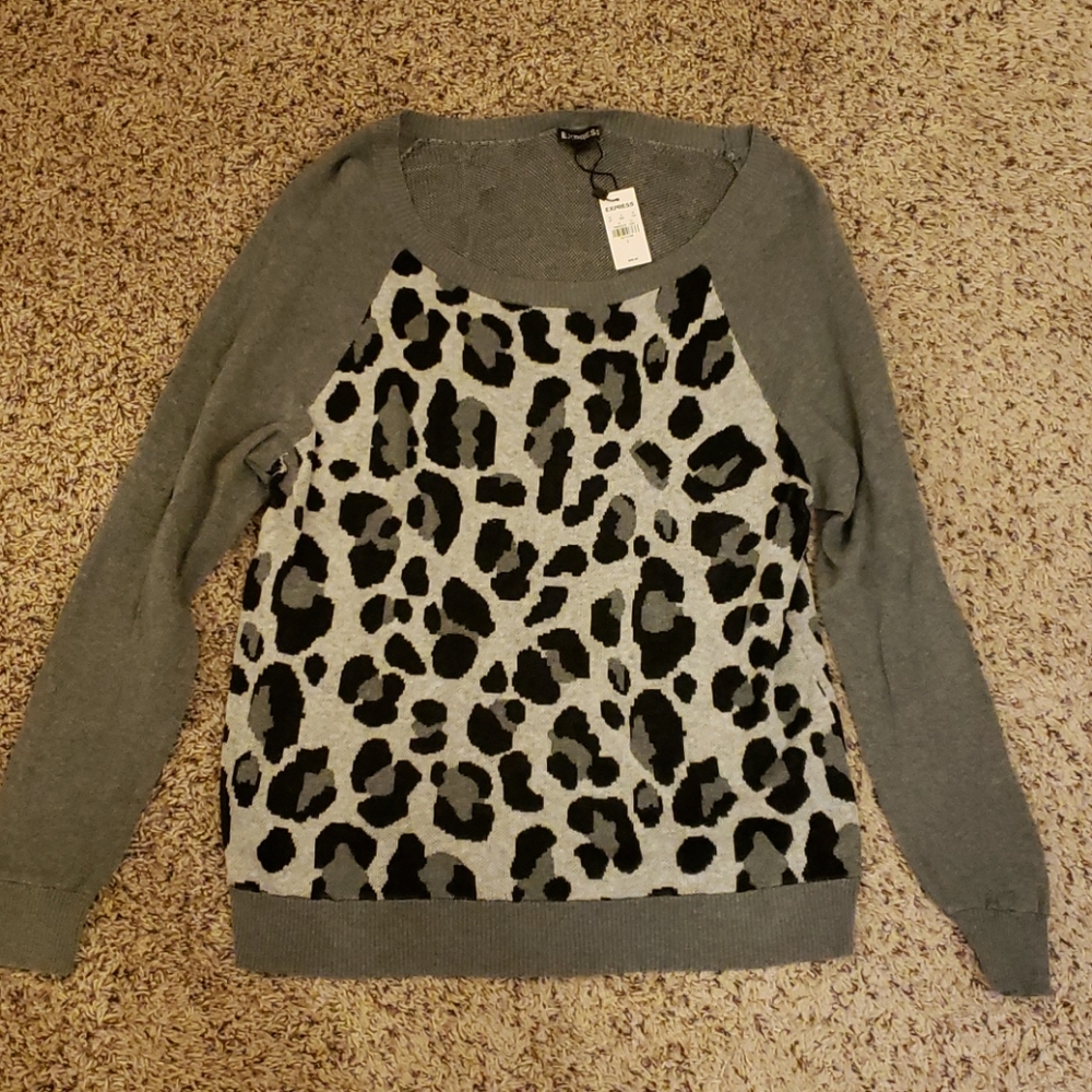 Express Sweater
